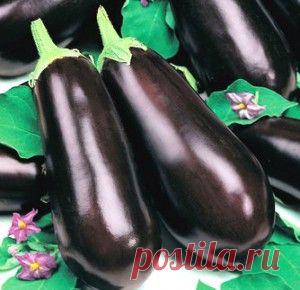 7 вкуснейших салатов на зиму из баклажан