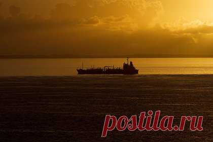 Израиль обвинил Иран в захвате грузового судна. Власти Израиля осуждают захват йеменскими хуситами грузового судна Galaxy Leader и возлагают ответственность за это нападение на Иран. Об этом говорится в заявлении канцелярии премьер-министр Израиля Биньямина Нетаньяху. О захвате судна Galaxy Leader стало известно ранее 19 ноября.