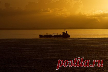 Израиль обвинил Иран в захвате грузового судна. Власти Израиля осуждают захват йеменскими хуситами грузового судна Galaxy Leader и возлагают ответственность за это нападение на Иран. Об этом говорится в заявлении канцелярии премьер-министр Израиля Биньямина Нетаньяху. О захвате судна Galaxy Leader стало известно ранее 19 ноября.