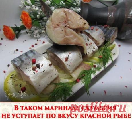 В таком маринаде скумбрия не уступает по вкусу красной рыбе
Ингредиенты:
- Скумбрия (замороженная, разморозить) 2 шт
- лук репчатый по вкусу
- вода 250 мл
- гвоздика 6 шт
- перец горошком шепотка
- перец душистый молотый 1/3 ч л
- зерна кориандра шепотка
- соль 2 ч л
- сахар 0,5 ч л
- масло подсолнечное 2 ст л
- уксус яблочный 2,5 ст л
Приготовление:
1. Скумбрию почистить, порезать на кусочки.
2. Воду вскипятить, добавить туда соль, сахар, гвоздику, перец горошком и молотый, кориандр, масло, к