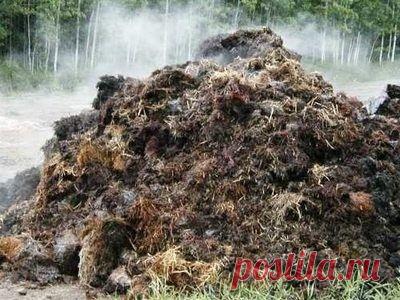 Навоз: виды хранение - Почвы и удобрения - Смолдача - Портал дачников, садоводов и любителей загородной жизни