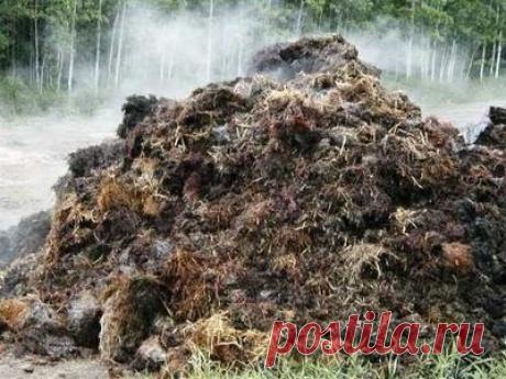 Навоз: виды хранение - Почвы и удобрения - Смолдача - Портал дачников, садоводов и любителей загородной жизни