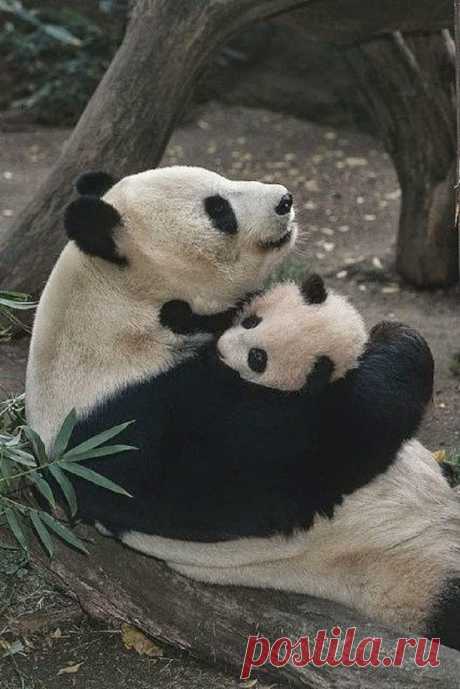 Amazing Things in the World Lovely Amazing World : Photo
