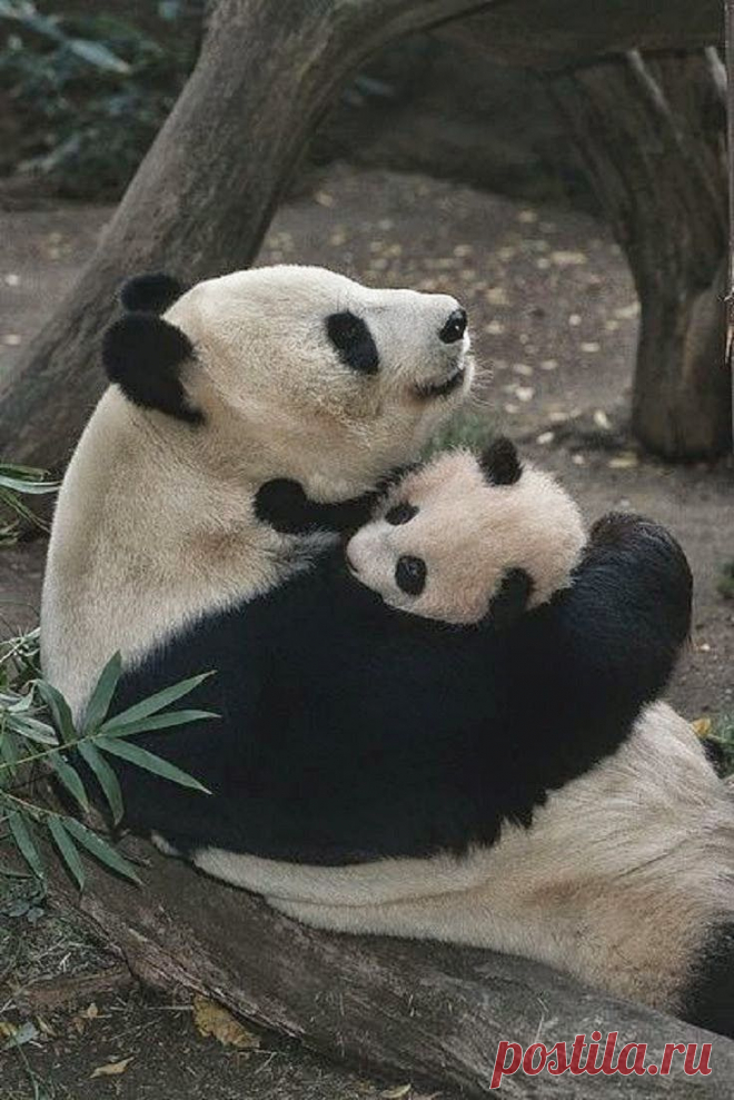 Amazing Things in the World Lovely Amazing World : Photo