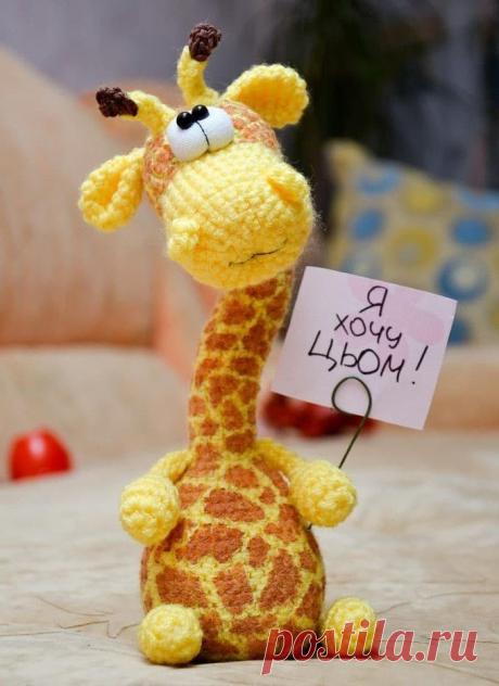 Бесплатный мастер-класс по вязанию Жираф Джо крючком. Автор описания - Елена Котикова. Животные саванны крючком У жирафа длинная шея, длинные ноги и высокие пропорции тела. Он не будет лежать на земле, как большинство животных, которые питаются травой, но, скорее, будет ходить и бегать. В этой статье вы познакомитесь с основами вязания крючком жирафа Джо и увидите, как связать его. Вы также узнаете, что нужно для создания жирафа, а затем вы будете связаны с этим проектом на одном из наших бесп…