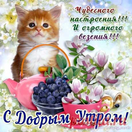 Доброе утро Любимая картинки  Открытка с добрым Утром женщине