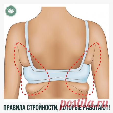 ПРАВИЛА СТРОЙНОСТИ, О КОТОРЫХ УМАЛЧИВАЮТ ДИЕТОЛОГИ, НО ОНИ РЕАЛЬНО РАБОТАЮТ! 
#Полезно_знать@healthzone_lr

Мы поискали НАУЧНЫЕ рекомендации, проверили их на себе и теперь доводим до вас!  Рекомендуем ПОДПИСАТЬСЯ!

Научная правда. Если вы хотя бы один раз в жизни пытались похудеть (или хотя бы составить план), то уже наверняка замечали: в интернете полным-полно противоречивой информации, а ни одна «модная» диета не дает стабильного результата. Обычно эти нестыковки диетоло...