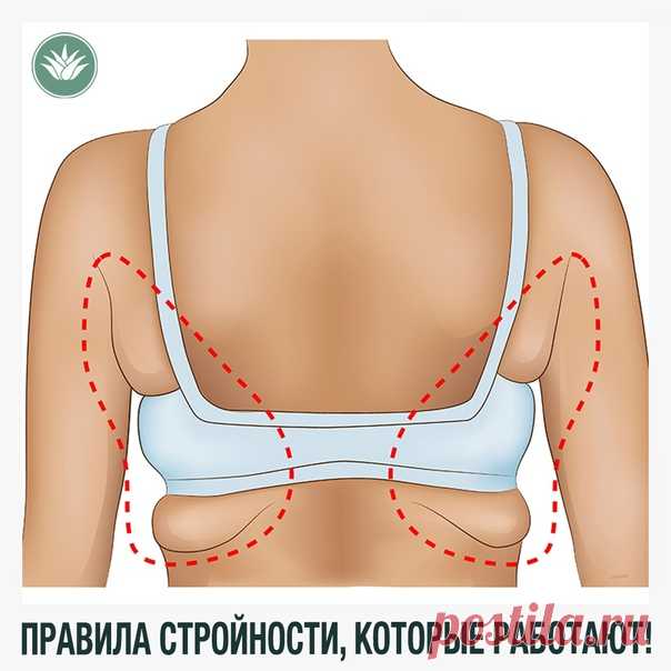 ПРАВИЛА СТРОЙНОСТИ, О КОТОРЫХ УМАЛЧИВАЮТ ДИЕТОЛОГИ, НО ОНИ РЕАЛЬНО РАБОТАЮТ! 
#Полезно_знать@healthzone_lr

Мы поискали НАУЧНЫЕ рекомендации, проверили их на себе и теперь доводим до вас!  Рекомендуем ПОДПИСАТЬСЯ!

Научная правда. Если вы хотя бы один раз в жизни пытались похудеть (или хотя бы составить план), то уже наверняка замечали: в интернете полным-полно противоречивой информации, а ни одна «модная» диета не дает стабильного результата. Обычно эти нестыковки диетоло...