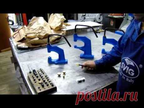 Torchietti... che passione! | Come si differenziano?