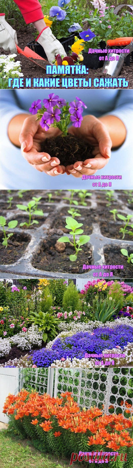 (88) Одноклассники