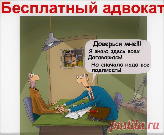 Различие между бесплатным адвокатом и платным. 3 распространенных мифа | Новости от юриста | Пульс Mail.ru Обратимся к Федеральному закону № 63