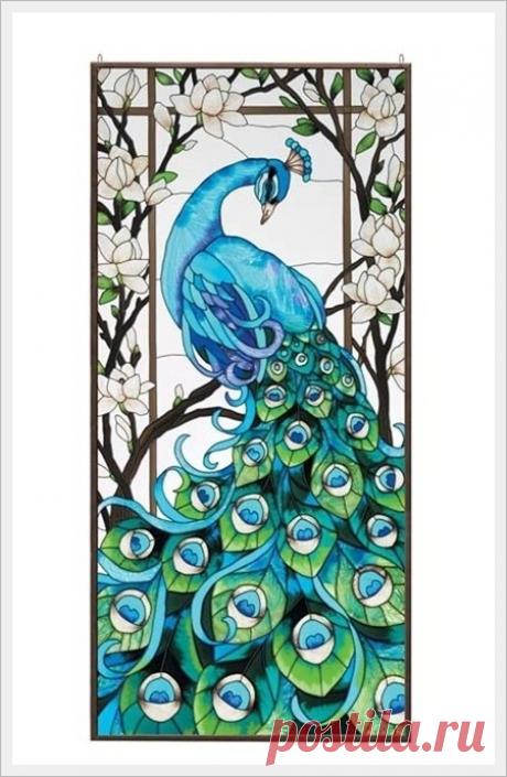 Павлин. Картинки для творческого вдохновения.