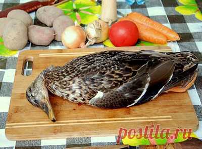 РУССКАЯ КУХНЯ НА КАВКАЗЕ: ОХОТНИЧЬЯ ШУРПА ИЗ ДИКОЙ УТКИ НА КОСТРЕ


   Среди Русских охотников, живущих на Кавказе, одним из самых популярных и уважаемых блюд является шурпа из дикой утки, приготовленная в казане на костре во время большого привала. Чем же оно так ценно? Все дело в наваристом бульоне. Бульон в шурпе из дикой утки реально отличается по своим вкусовым качествам от других видов бульона, приготовленных на другом виде мяса. Уникальные свойства блюда помогают ох...