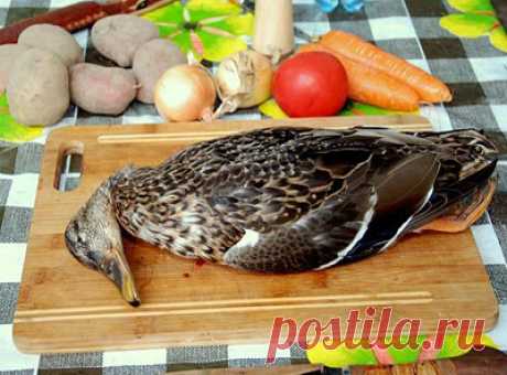 РУССКАЯ КУХНЯ НА КАВКАЗЕ: ОХОТНИЧЬЯ ШУРПА ИЗ ДИКОЙ УТКИ НА КОСТРЕ


   Среди Русских охотников, живущих на Кавказе, одним из самых популярных и уважаемых блюд является шурпа из дикой утки, приготовленная в казане на костре во время большого привала. Чем же оно так ценно? Все дело в наваристом бульоне. Бульон в шурпе из дикой утки реально отличается по своим вкусовым качествам от других видов бульона, приготовленных на другом виде мяса. Уникальные свойства блюда помогают ох...