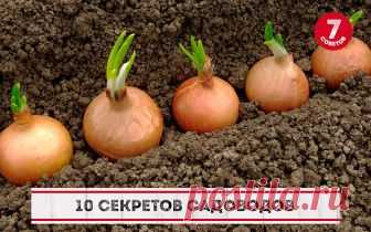 10 СЕКРЕТОВ САДОВОДОВ
