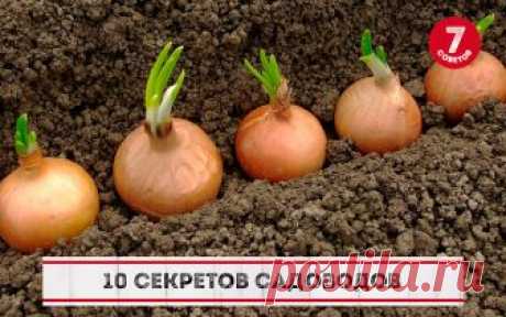 10 СЕКРЕТОВ САДОВОДОВ
