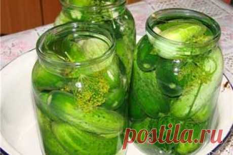 Маринованные огурцы без стерилизации - Консервирование - Кулинария
