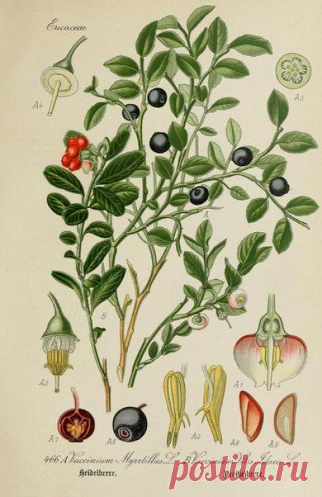 ~ MON PLAISIR ~ Вещи для души. Винтаж,Прованс.