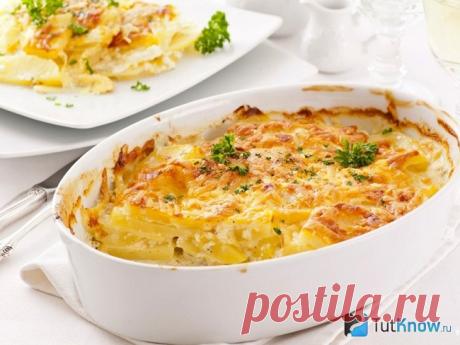 11 блюд, которые желательно будет приготовить на новогодний стол для Желтой Собаки