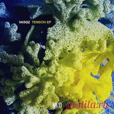 VASQZ - Tension