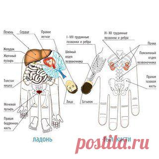 Философия красоты и здоровья