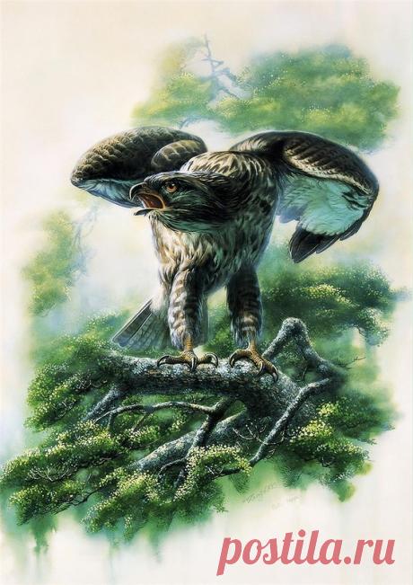 Птицы китайского художника Zeng Xiao Lian