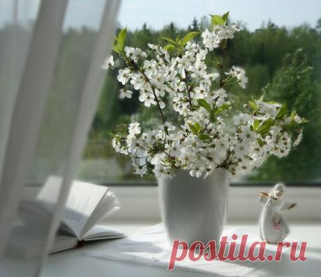 Пусть в душах распускаются цветы - 
Цветы Любви, Надежды, Веры в сказку, 
И солнышко лучами доброты, 
Всем дарит искорки тепла и ласки...)

НЕЖНОГО АПРЕЛЬСКОГО УТРЕЧКА, ДРУЗЬЯ! )