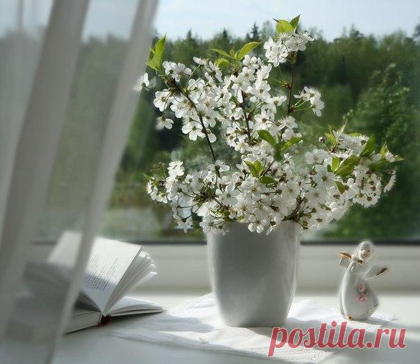 Пусть в душах распускаются цветы - 
Цветы Любви, Надежды, Веры в сказку, 
И солнышко лучами доброты, 
Всем дарит искорки тепла и ласки...)

НЕЖНОГО АПРЕЛЬСКОГО УТРЕЧКА, ДРУЗЬЯ! )