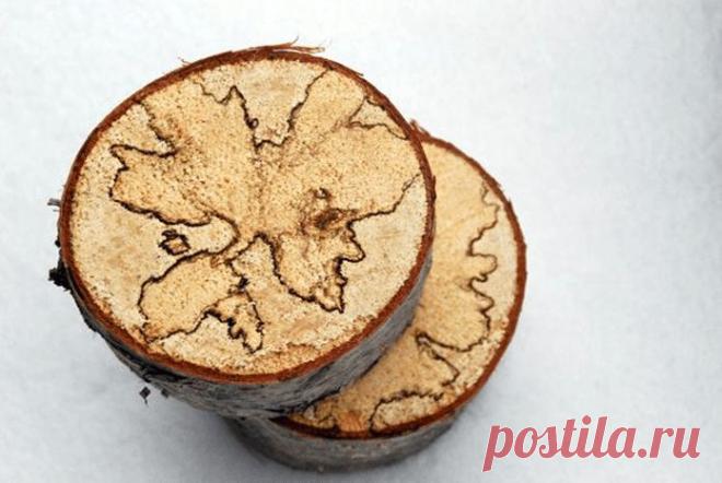 Красивые подсвечники из березы