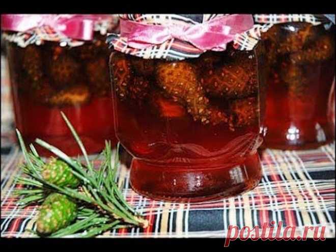 Эффективное Лекарство от усталости: необычное целебное варенье из сосновых шишек