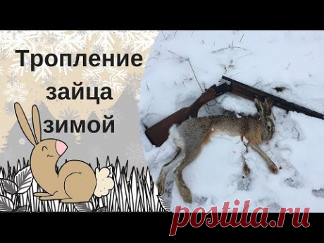 Охота на зайца. Тропление зайца по первому снегу 2018