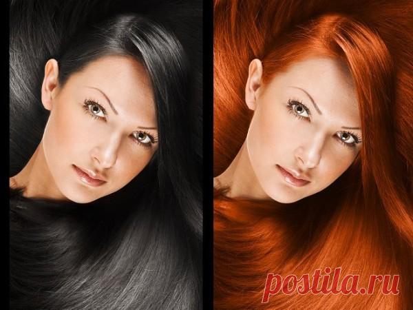 Оттеночный шампунь для темных волос: черный, фиолетовый, синий, шоколад, видео-инструкция по окрашиванию своими руками, фото и цена
