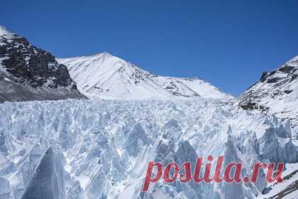 Российский вирусолог оценил опасность найденных в древнем леднике вирусов. Большинство вирусов спустя долгое время остаются жизнеспособными, однако опасность найденных в древних ледниках Тибета вирусов подтвердить нельзя. По словам Бутенко, вирусы могут быть жизнеспособными, так как известны случаи их сохранения. Он отметил, что долгое время сохраняются в могильниках бактерии сибирской язвы.