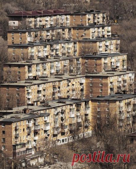 15 настолько удачных снимков, что вам захочется повесить их на стену