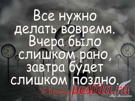 Мир всезнайки | цитаты, стихи, истории