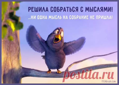 Кратко обо мне сегодня: