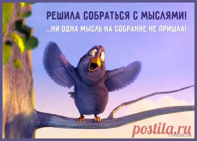 Кратко обо мне сегодня: