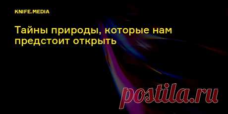Элементарные частицы. Тайны природы, которые нам предстоит открыть Последние открытия физики элементарных частиц для чайников.