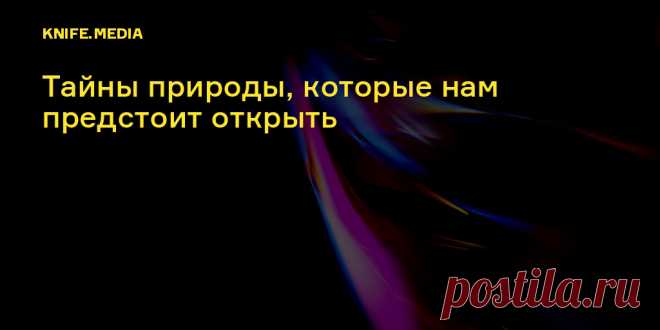 Элементарные частицы. Тайны природы, которые нам предстоит открыть Последние открытия физики элементарных частиц для чайников.