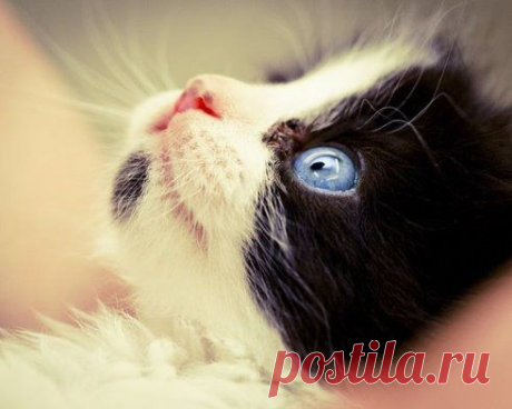 Лучшая притча, которую я встречал за многие годы! На задворках Вселенной находился один магазинчик. Вывески на нем давно уже не было - ее когда-то унесло ураганом, а новую хозяин не стал прибивать, потому что каждый местный житель и так знал, что магазин продает желания.

Ассортимент магазина был огромен, здесь можно было купить практически всё: огромные яхты, квартиры, замужество, пост Читать продолжение:   ►►► fastppc.net/u6hz
•••подробнее