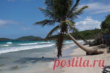 Названы самые полюбившиеся туристам в 2022 году страны. Самым популярным туристическим направлением в 2022 году стала Доминиканская Республика. Отмечается, что специалисты проанализировали, по каким направлениям наблюдается самый большой прирост туристов по сравнению с 2019 годом — последний период, когда общемировой показатель был на аналогичном с 2022 годом уровне.