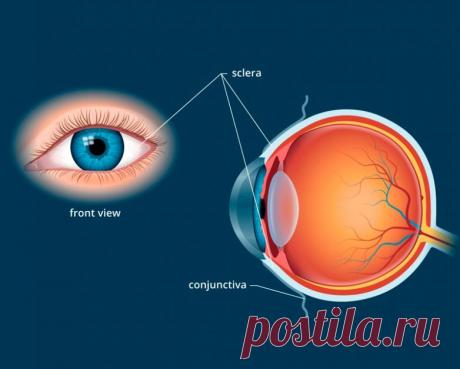 Как сохранить здоровье глаз на долгие годы / Будьте здоровы