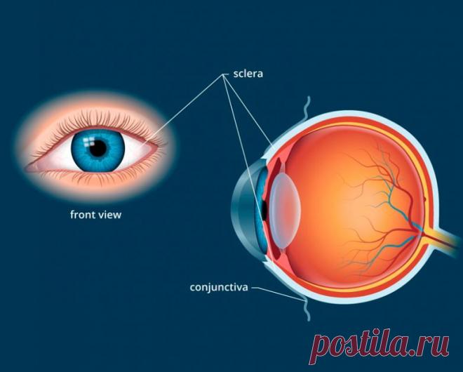 Как сохранить здоровье глаз на долгие годы / Будьте здоровы