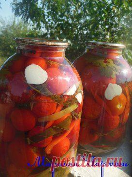 Одноклассники