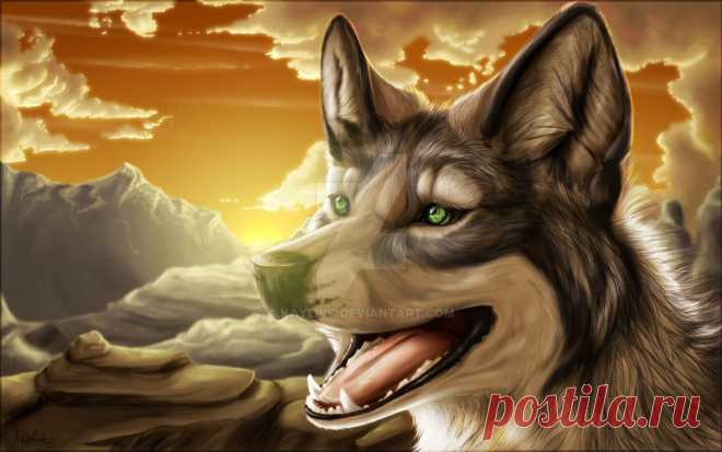 Happy Birthday Seiiiiiii by Kaylink on DeviantArt