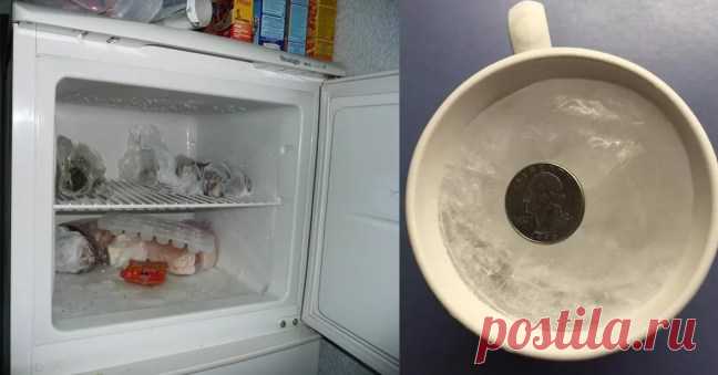 Вот почему Вам всегда следует оставлять монету в морозилке перед тем, как выйти из дома… — Копилочка полезных советов