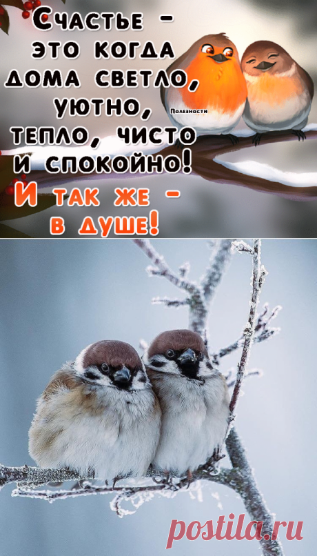 45 непрочитанных чатов