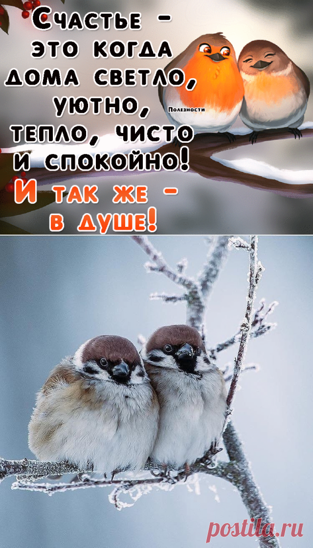45 непрочитанных чатов