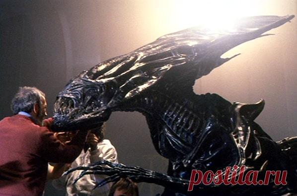 К чему снятся инопланетяне по сонникам и толкованиям