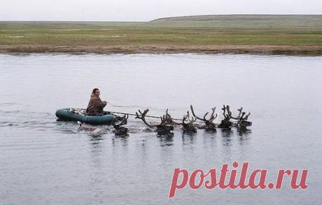 ...Вот такого (fr)...я ещё точно...не виделa...!